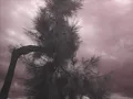 Explosive by Bond
