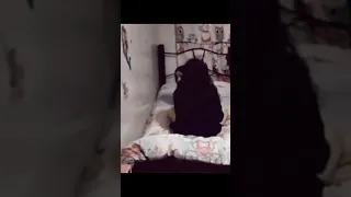 فيديوهات مرعبه ومخيفة صورتها الكاميرات بصدفة      اكسبلور  رعب دندنها