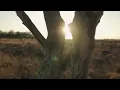 The Departure (Extended)