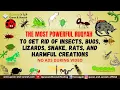 Download Lagu Very Strong Al Quran Ruqyah to Get Rid of Insects, Bugs, Lizards, Snake, Rats, and harmful creations