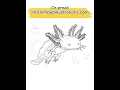Axolotl Coloring Pages Realistic Axolotl Drawings to Color