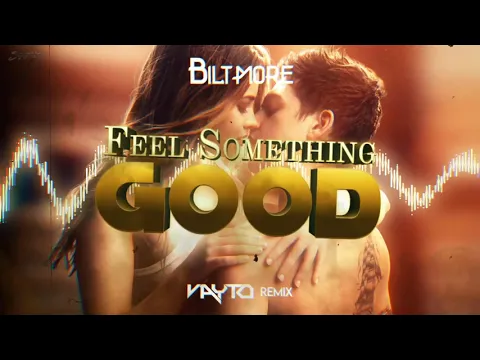 Download MP3 Biltmore - Feel Something Good (VAYTO REMIX) 2021