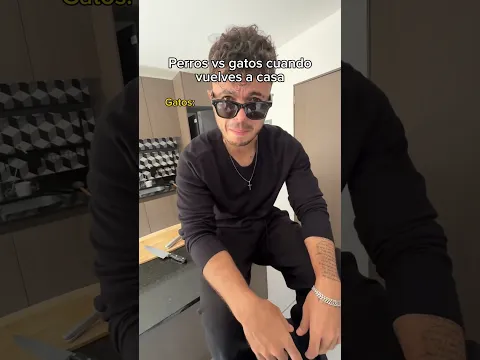 Gatos vs perros 🤣 (así era mi gatita jajaja) | Bastian Delfin •