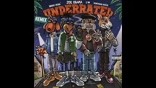 Download Zoe Osama, Snoop Dogg, E-40 \u0026 MoneySign Suede - Underrated (Remix) (AUDIO) MP3