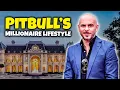 The Millionaire Lifestyle of Pitbull