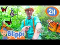 Download Lagu Blippi Visits A Butterfly Science Museum |  Blippi and Meekah Best Friend Adventures