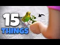 15 Things You NEED for your Bird