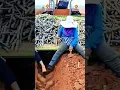 Download Lagu Ide cerdas sederhana memotong dan menanam kembali batang singkong dengan mudah dan efisien. #shorts