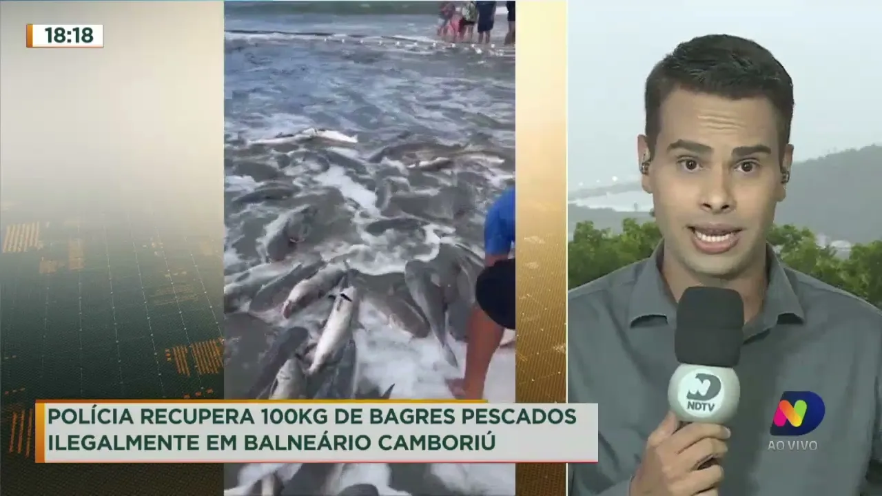 Após denúncia de pesca ilegal, polícia civil recupera 100 quilos de peixe bagre