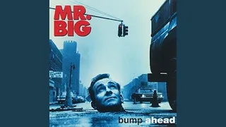 Download Mr. Big MP3