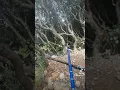 Download Lagu tiktok gunung gede