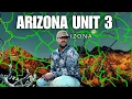Arizona Elk Hunting Unit 3A 3B 3C OTC How to Draw Where to Find BIG Bulls and Hunt Expectations