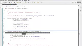 JAVA HOW TO DETERMINE IF A STRING IS ALPHANUMERIC DEMO