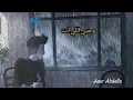 حلال فيك - تامر حسني