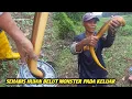 Lagu SEHABIS HUJAN KEMBALI PESTA STRIKE BELUT BELUT BESAR