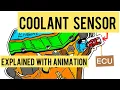 Coolant Temperature Sensor Explained With Animation Mastering Automotive Sensors Part 5