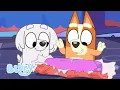 Download Lagu Juegos con Bingo Episodios completos 🧡 | Bluey Español Canal Oficial