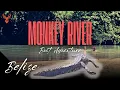 Crocodiles Howler Monkeys Manatees and MORE Monkey River Boat Adventure in Belize