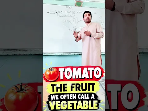 Are tomatoes classified as fruits or vegetables?😱 PART-1 #peacefulaghbarg