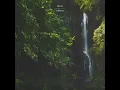 Lailonie (Extended Mix)