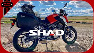Shad 3P SH23