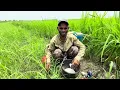 Download Lagu আমার ধানের জমিতে আগাছা নাশক কীটনাশক প্রয়োগ করলাম দাদা🌱🙂#monirul #farmer