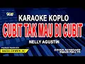 Download Lagu NELLY AGUSTIN - CUBIT TAK MAU DI CUBIT [KARAOKE KOPLO ] NADA WANITA