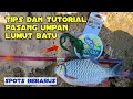 Tutorial cara mudah pasang umpan lumut batu target bader dan nilem sungai progo
