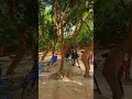 #Gangchil Island...#popularshorts #trandingshorts #viralshorts #foryou #nature