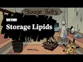Storage Lipids Overview Full Lesson Sketchy MCAT Biochemistry