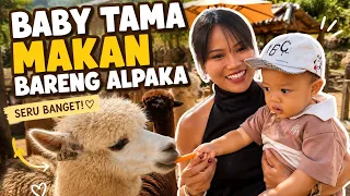 MAKAN BERSAMA ALPAKA DI BALI FARM HOUSE