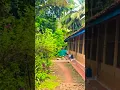 Download Lagu Appanaramuni Lanka Dorp Konaseema Andhra Pradesh Cocount @GodavariMuni