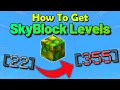 Get Hypixel SkyBlock Levels FAST Hypixel SkyBlock Guide