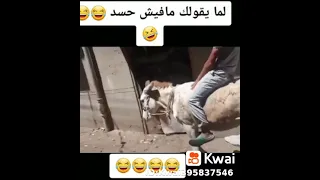 الحسد ربنا يكفينا شر العين 
