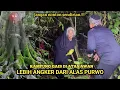 Download Lagu Merinding.!! inilah lokasi yang lebih angker dari alas purwo banyuwangi, kampung di atas awan