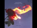Kingfishr - flowers-fire rework (Official Audio)