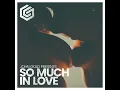 So Much In Love (Extended Mix)