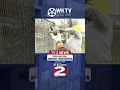 Utica s Arterial Undergoes Transformation in 1989
