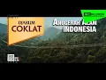 Download Lagu Djarum Coklat - Raissa Ramadhani \u0026 EIV Band (2024) 15s (Awali Dengan PHW)