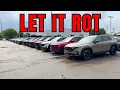 Mazda Dealership Completely Full