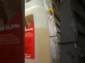 Flea Control