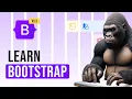 Learn Bootstrap Easy Step-by-Step Tutorial v5 3