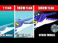 Space Whale Origin Evolution: How Space Whale Could Have Evolved