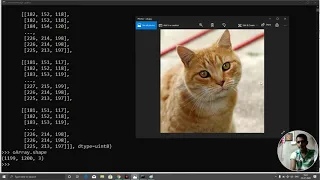 python 54 numpy how to edit crop an image