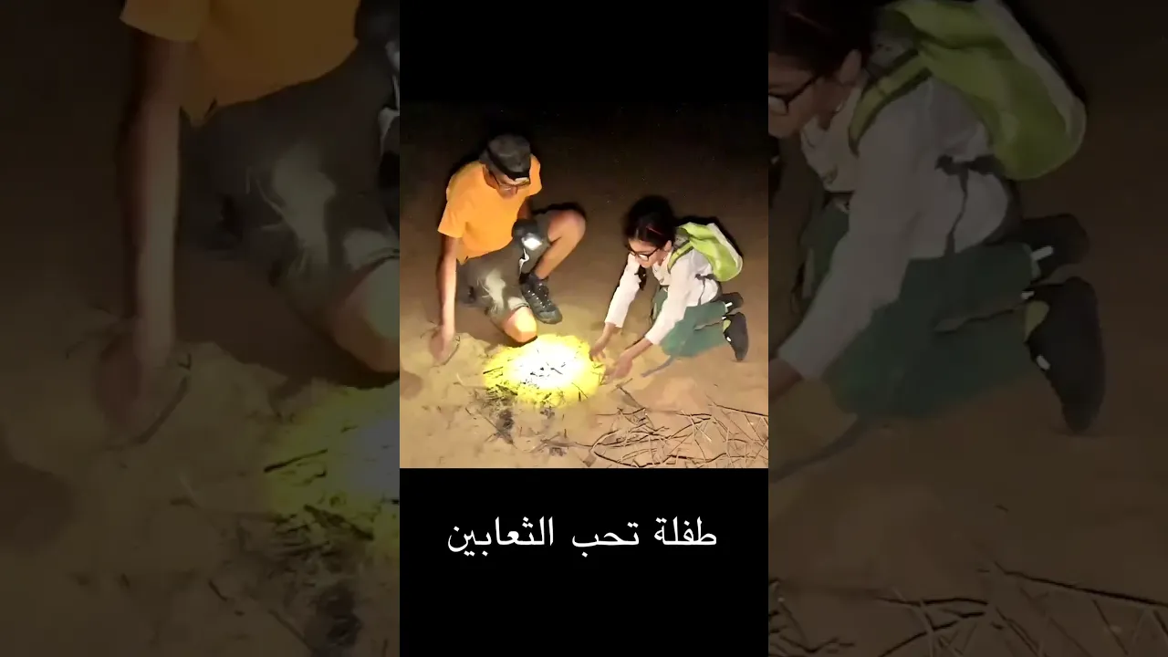 طفلة تحب الثعابين