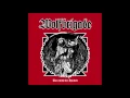 Download Lagu Wolfbrigade - Run With The Hunted FULL ALBUM HD (2017 - D-Beat / Crust Punk)
