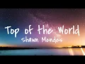 Shawn Mendes- Top of the World (Lyrics)