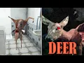 Download Lagu KITA MENJADI PEMBURU RUSA! TAPI ADA YANG ANEH.... Deer