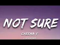 Not Sure (Lyrics) CheemaY | Gur Sidhu | Lyricsgenree