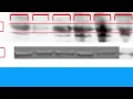 274099B84F40229BD81E93D52187F1#1